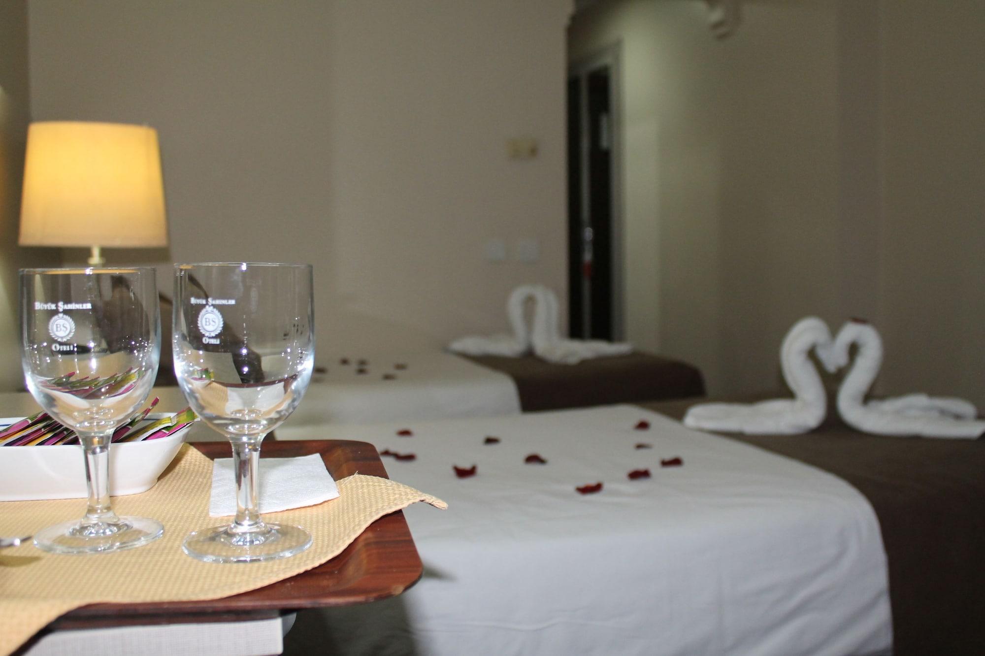 Hotel Buyuk Sahinler 4*