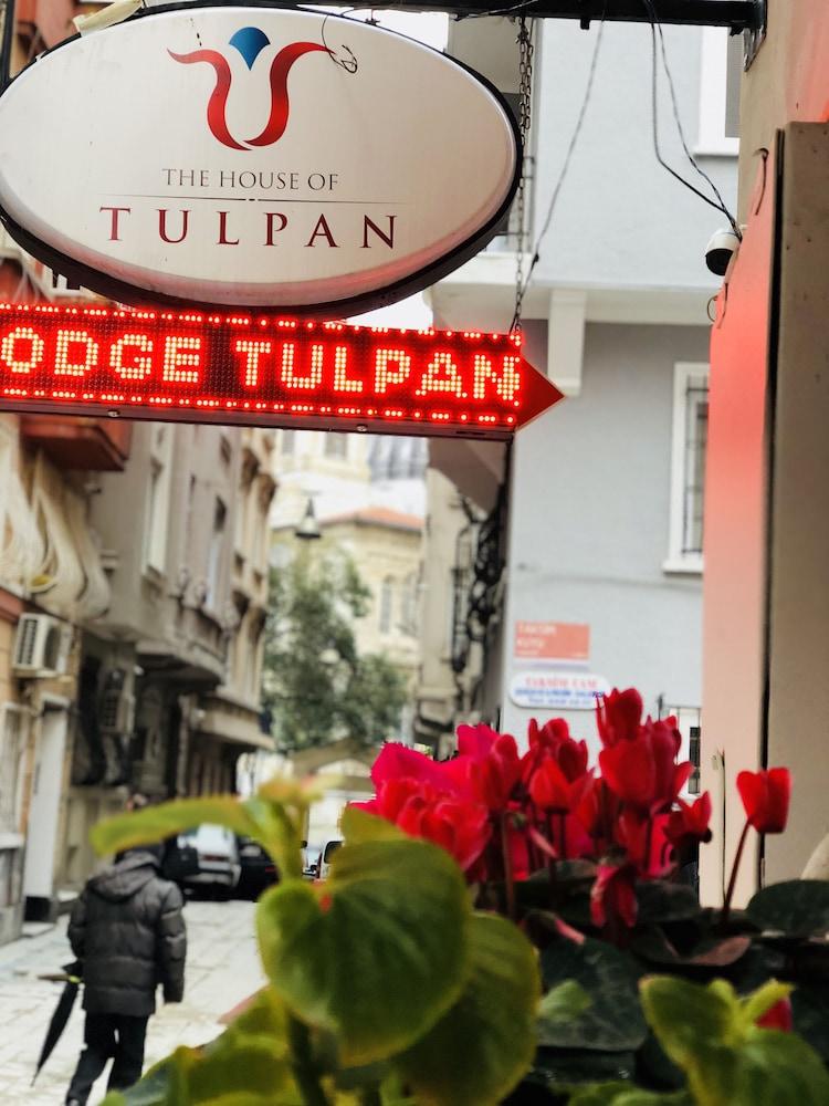 Otel The House Of Tulpan 2*