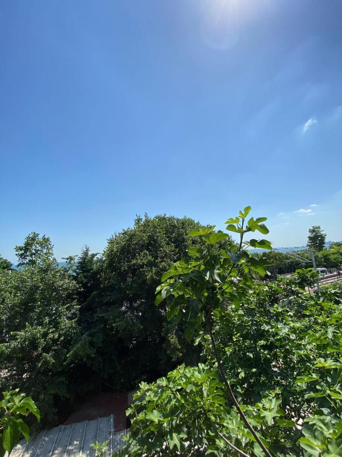 Golden Palace Sea View 3*