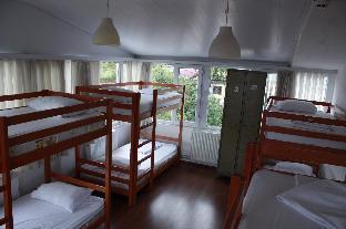 Nobel Albergue