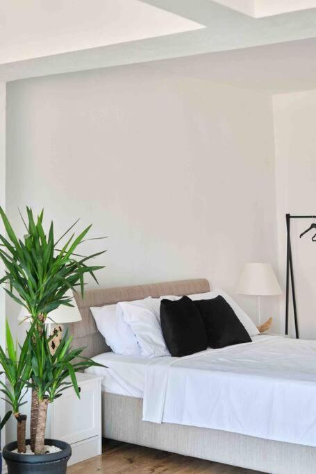 Apartment Alize Galata D3
