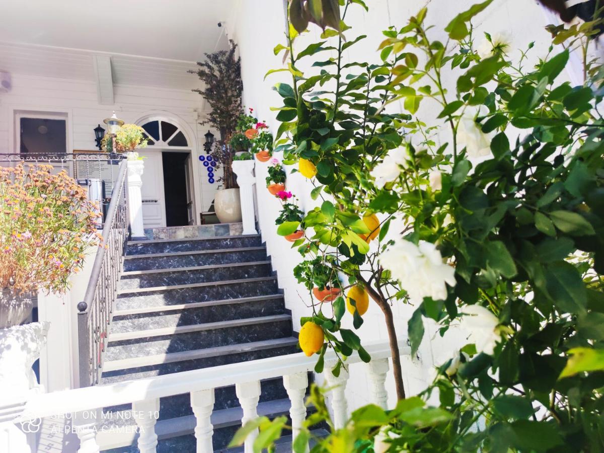 Hotel Solomon's Mansion *