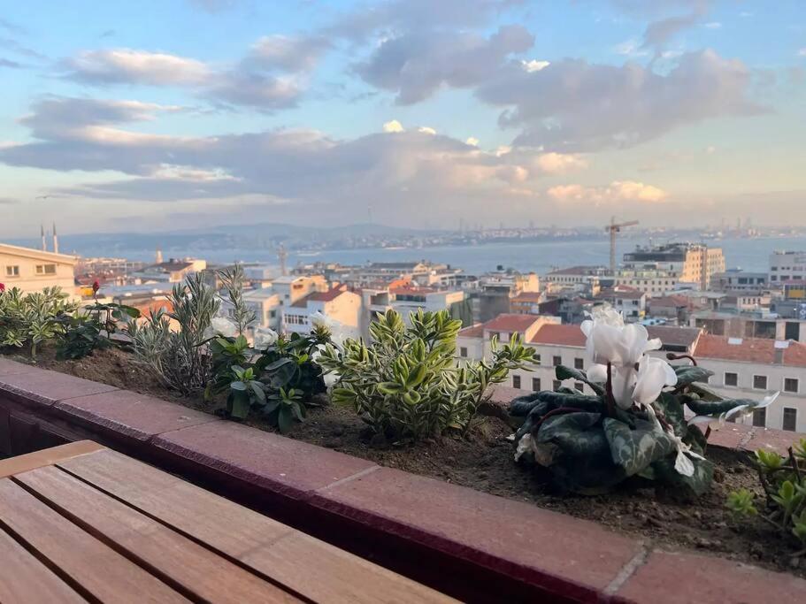 Magnificent View, In The Center Apartment