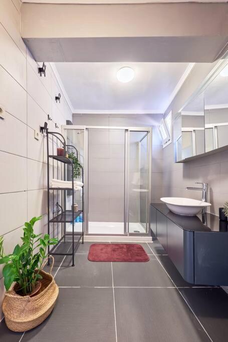 A Flat In The Center With Terrace *