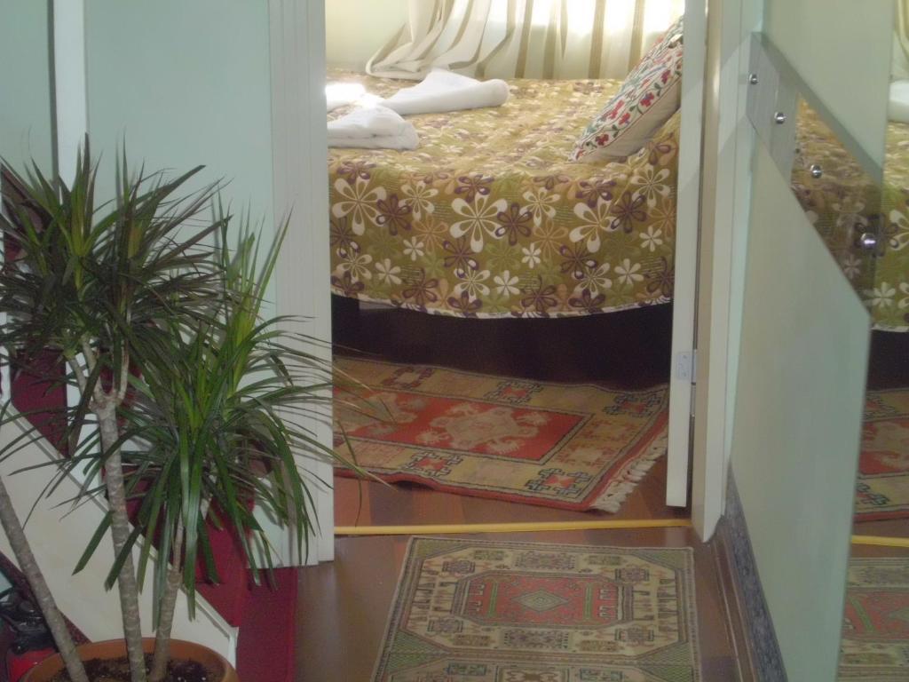 Chora Guest house 4*