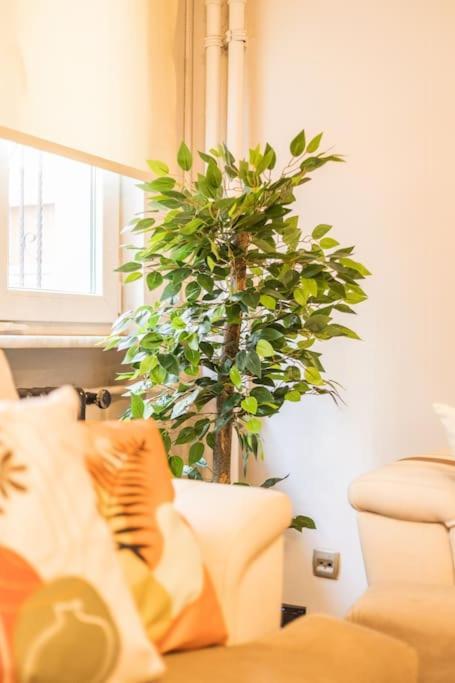 Apartment Luxury & Spacious 1br Near Cvk Bosphrous Taksim