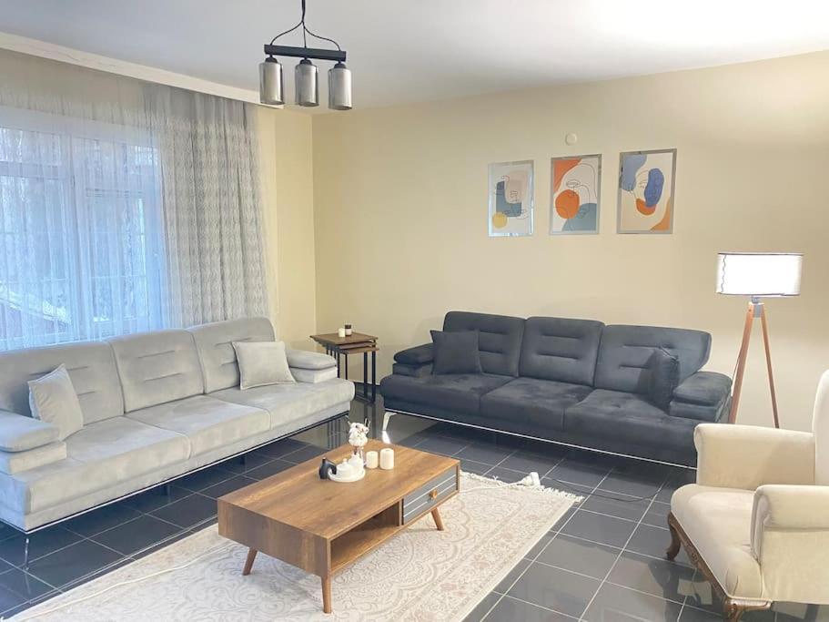 Comfy - Spacious Flat On The Kadikoey Seaside * İstanbul