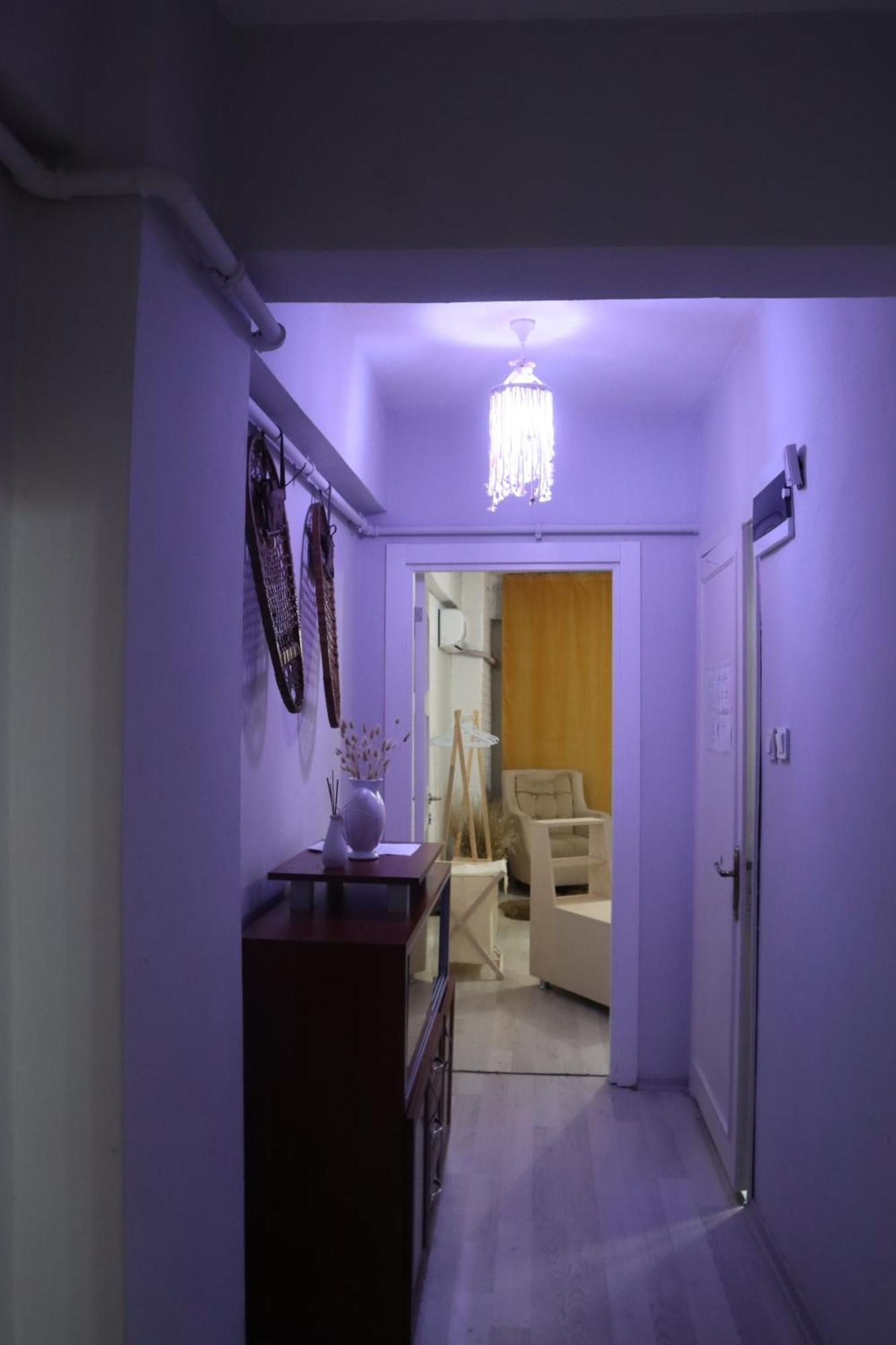 Erkul Old 4y
