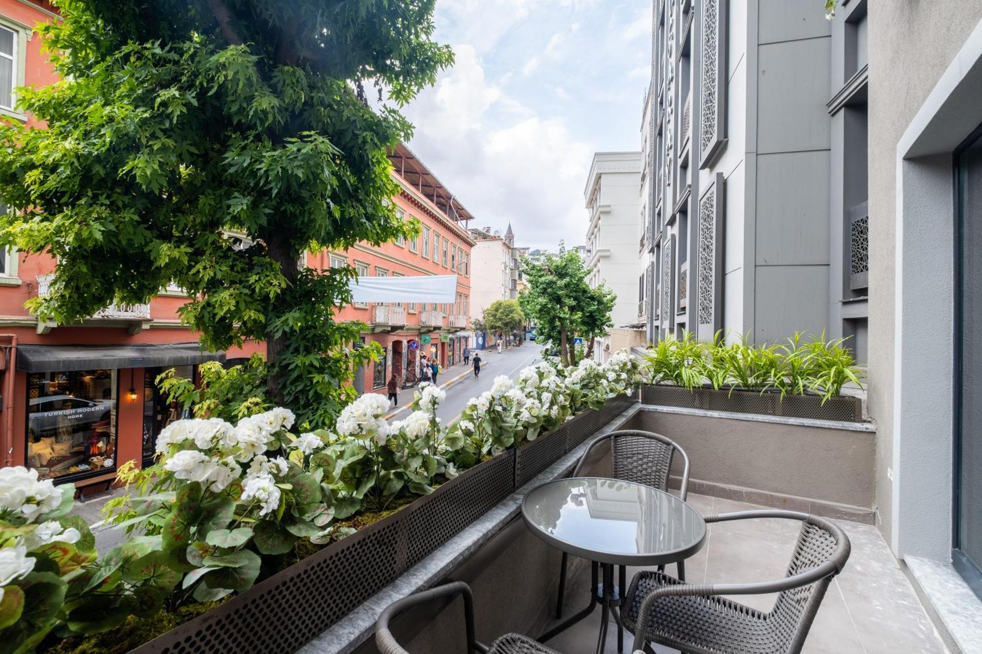 Mayer Tomtom Park Apartment