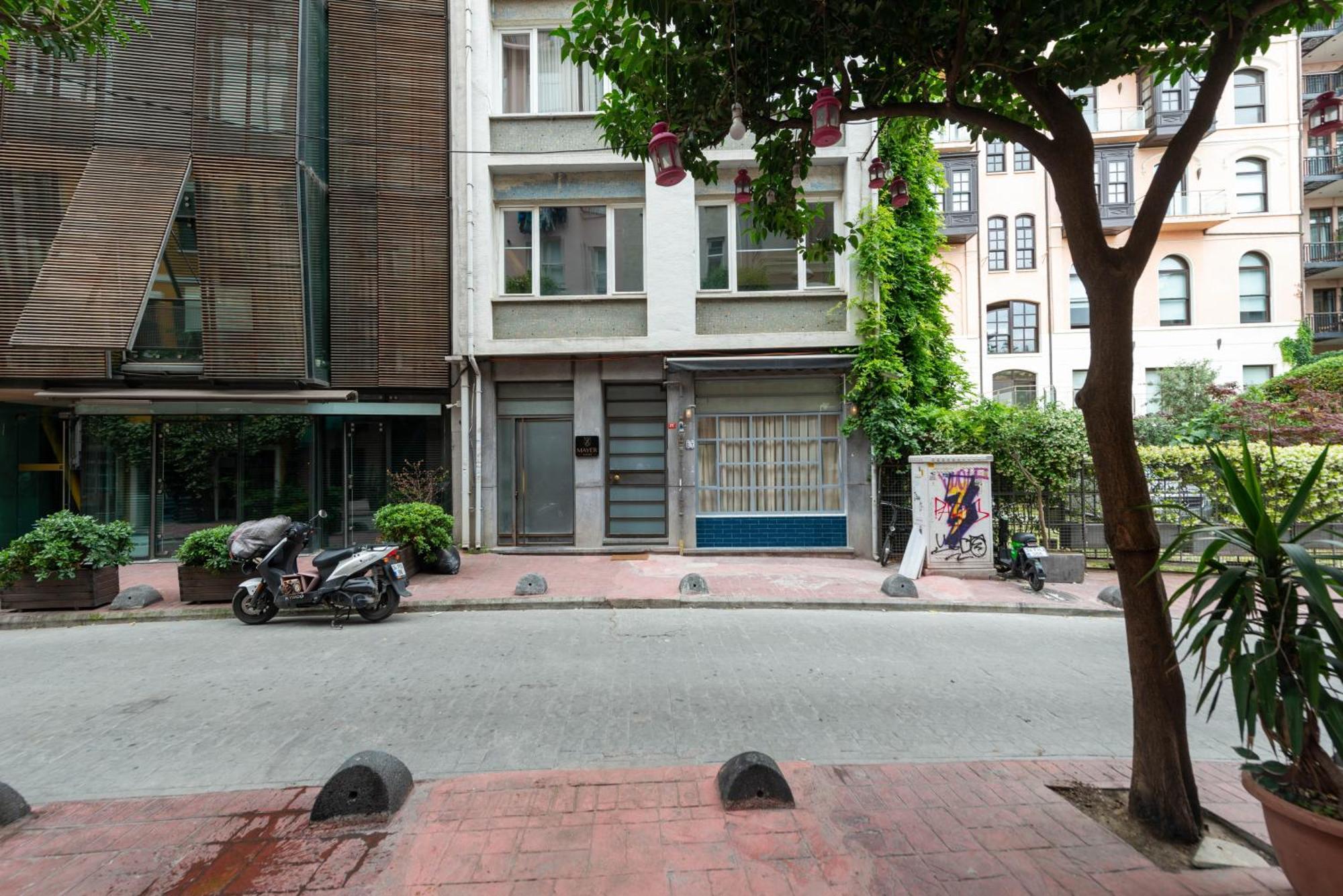 Mayer Galata *