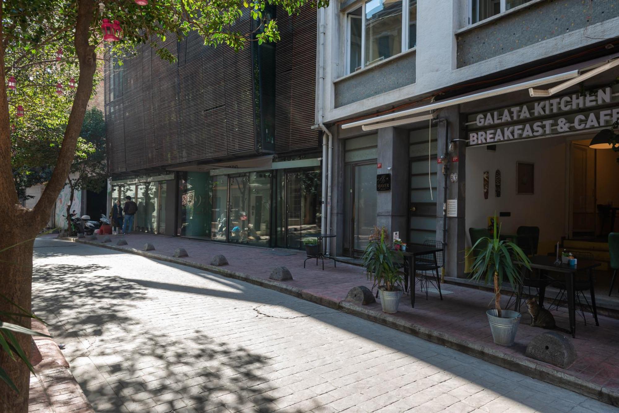 Mayer Galata