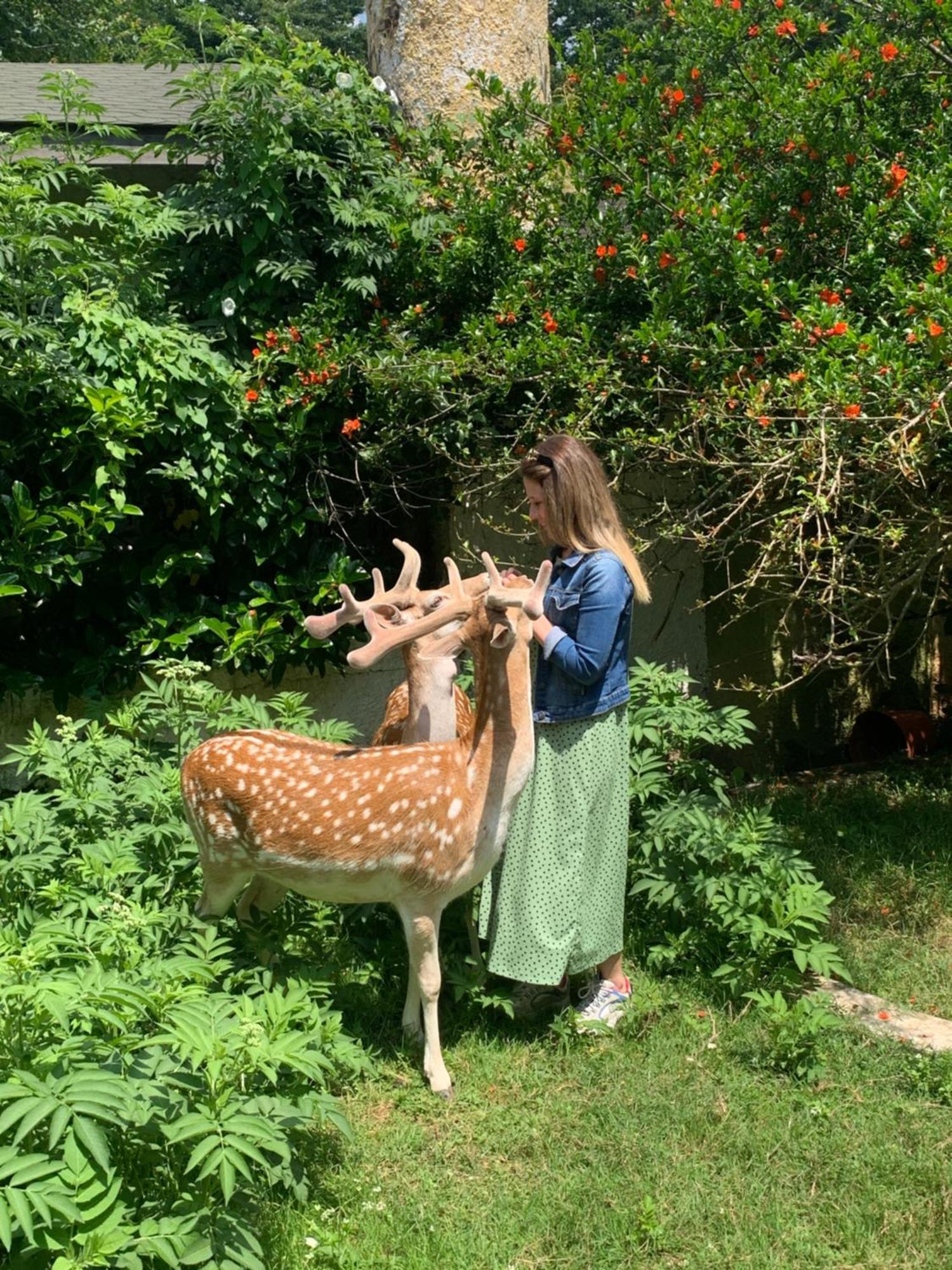 Polonezkoey Country Club & In The Wildlife Park! Resort İstanbul