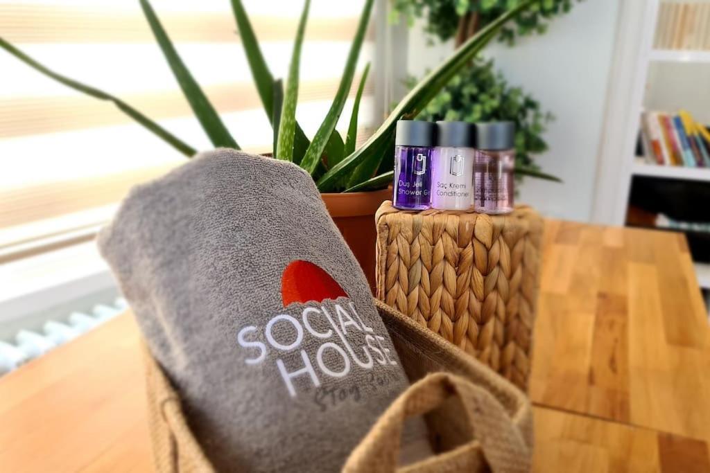 Social House Hotel *