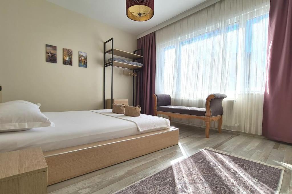 Hotel Social House *