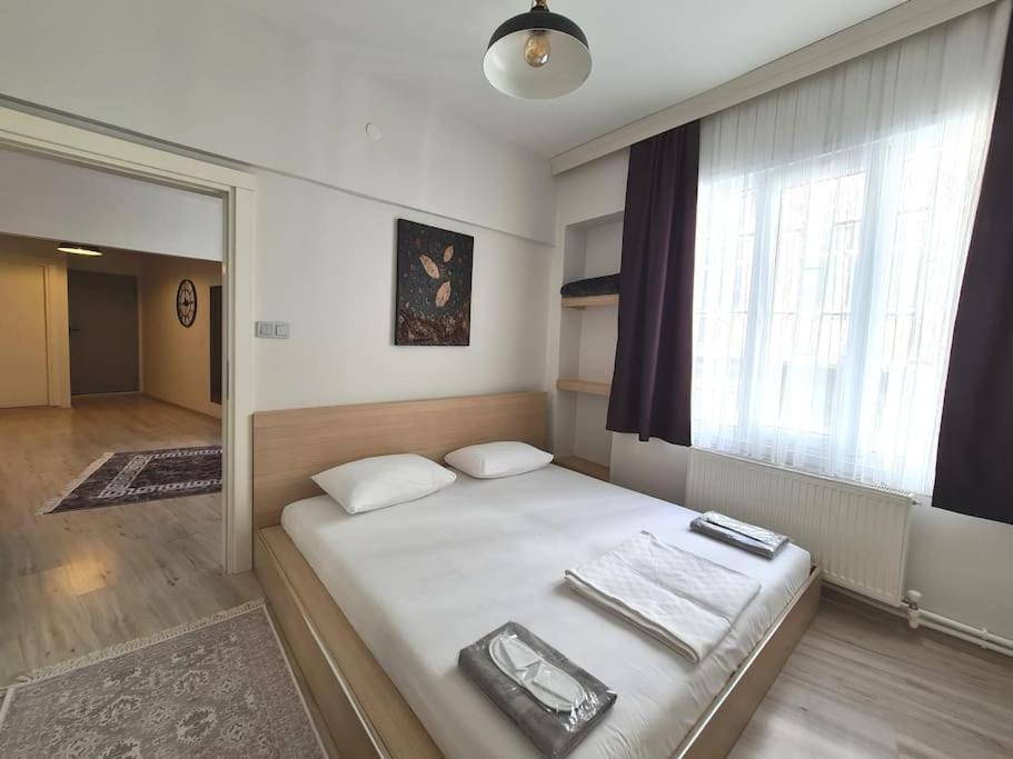 Social House Hotel *