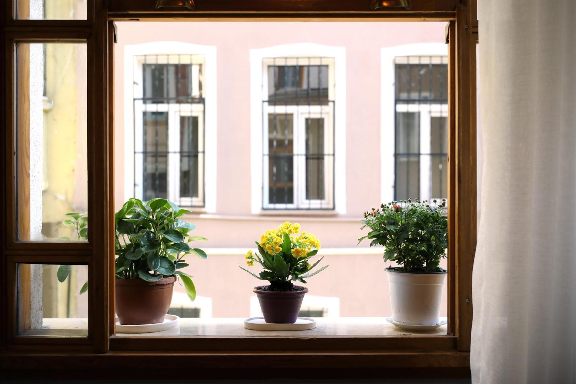 Narpera Taksim Boutique Istanbul
