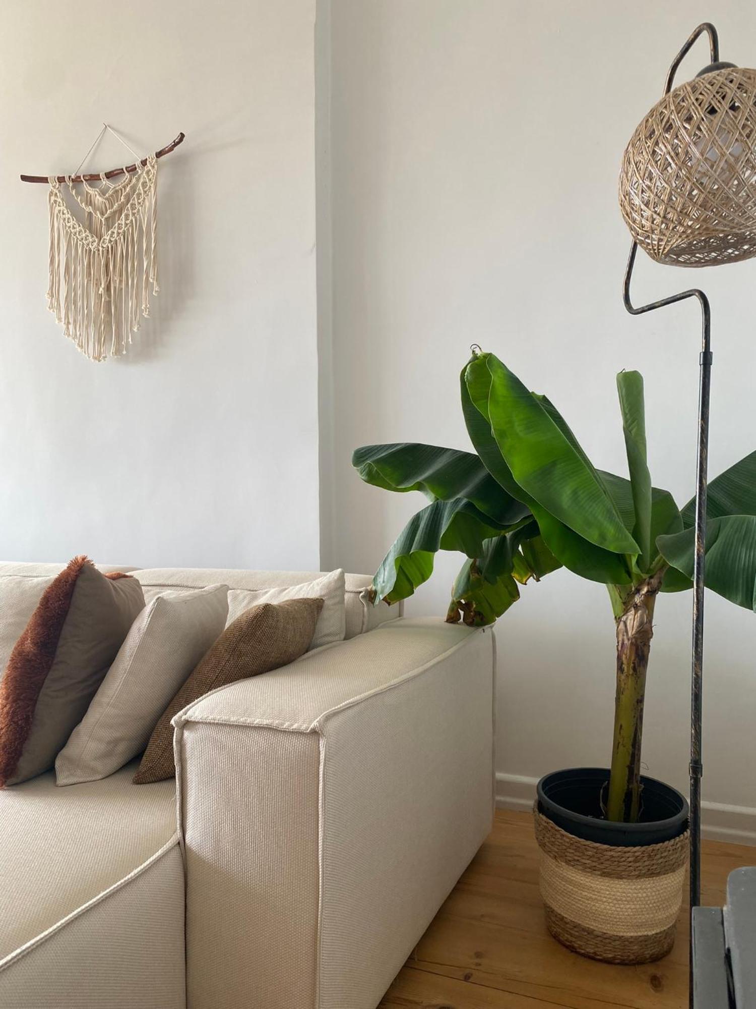 Fantastic Golden Horn View In Beyoglu, Cozy Design *