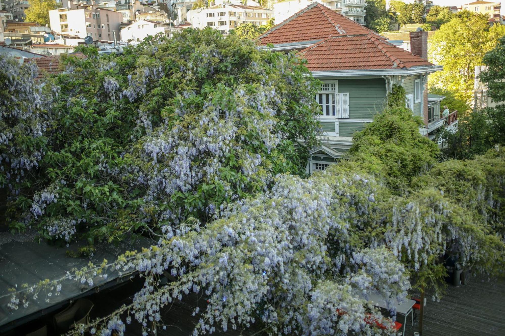 Hotel Loop Bosphorus 4*