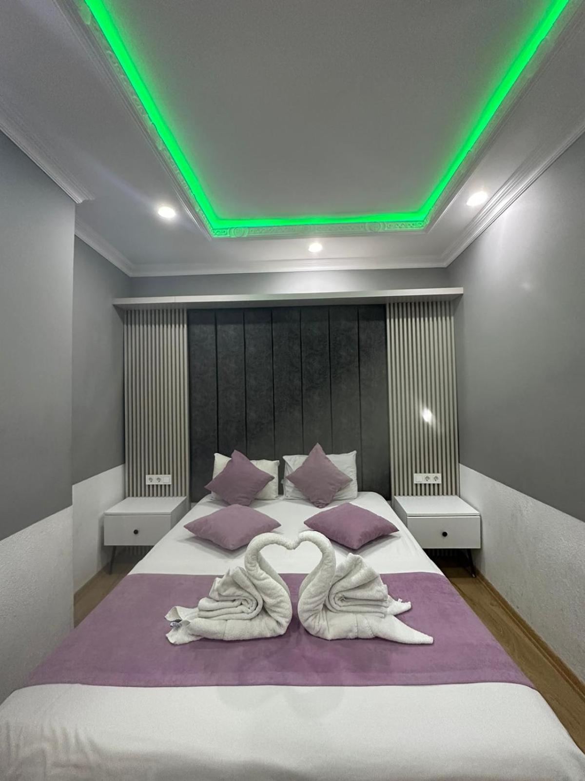 Hotel The Zanadu