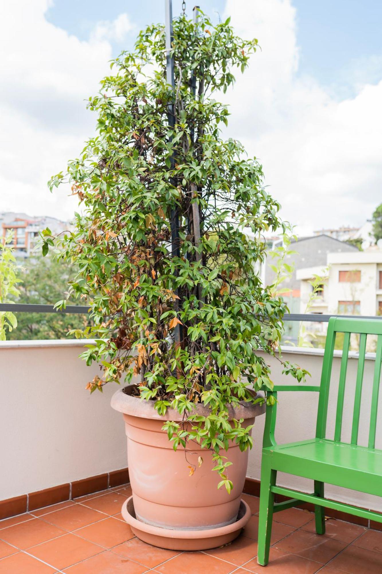 Apart Otel Smart By Summitvista