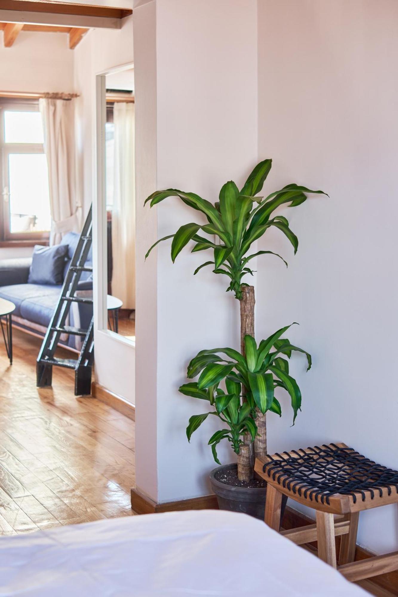 Apartment Nuve Istanbul