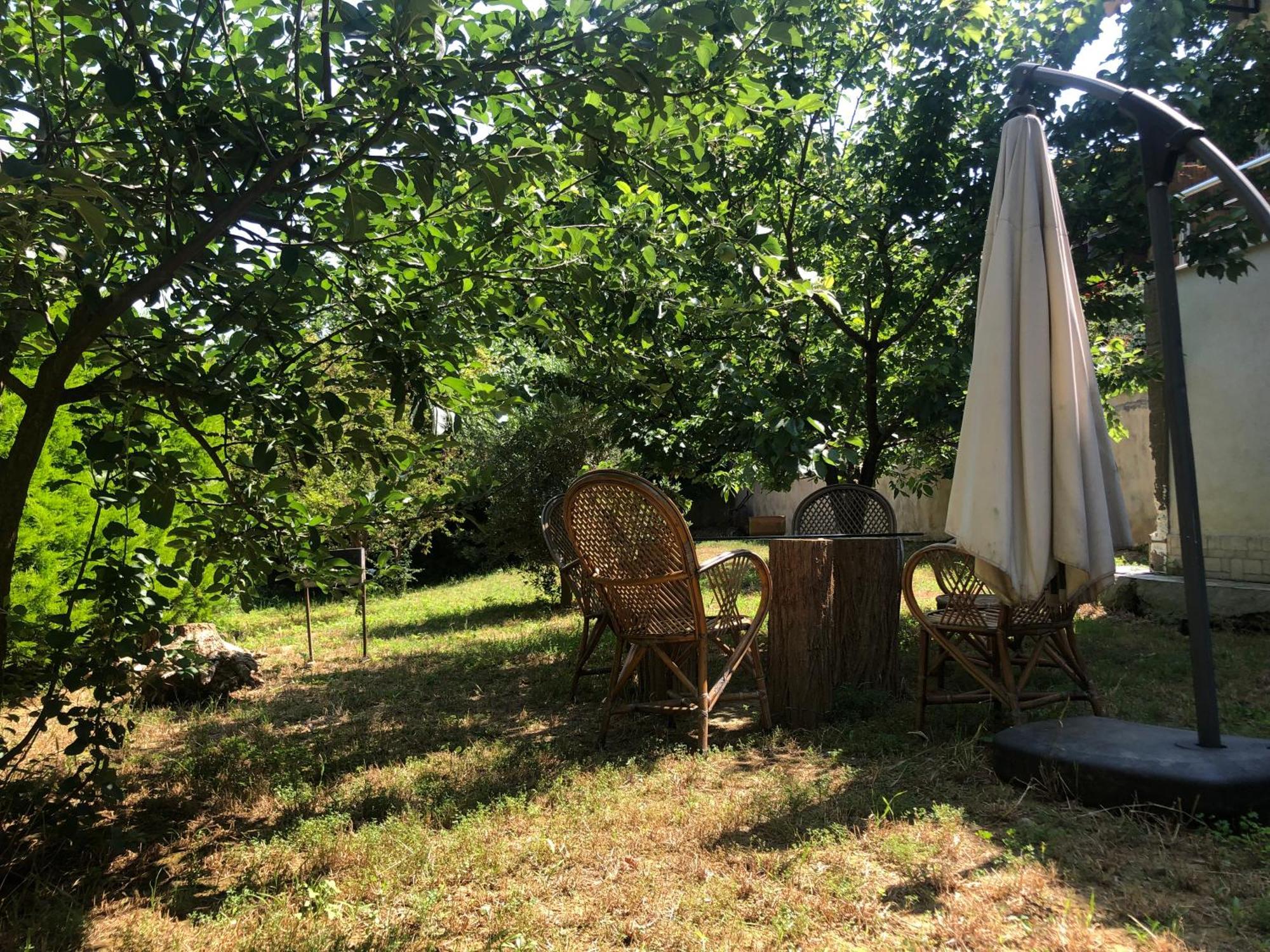Garden House Apartment
