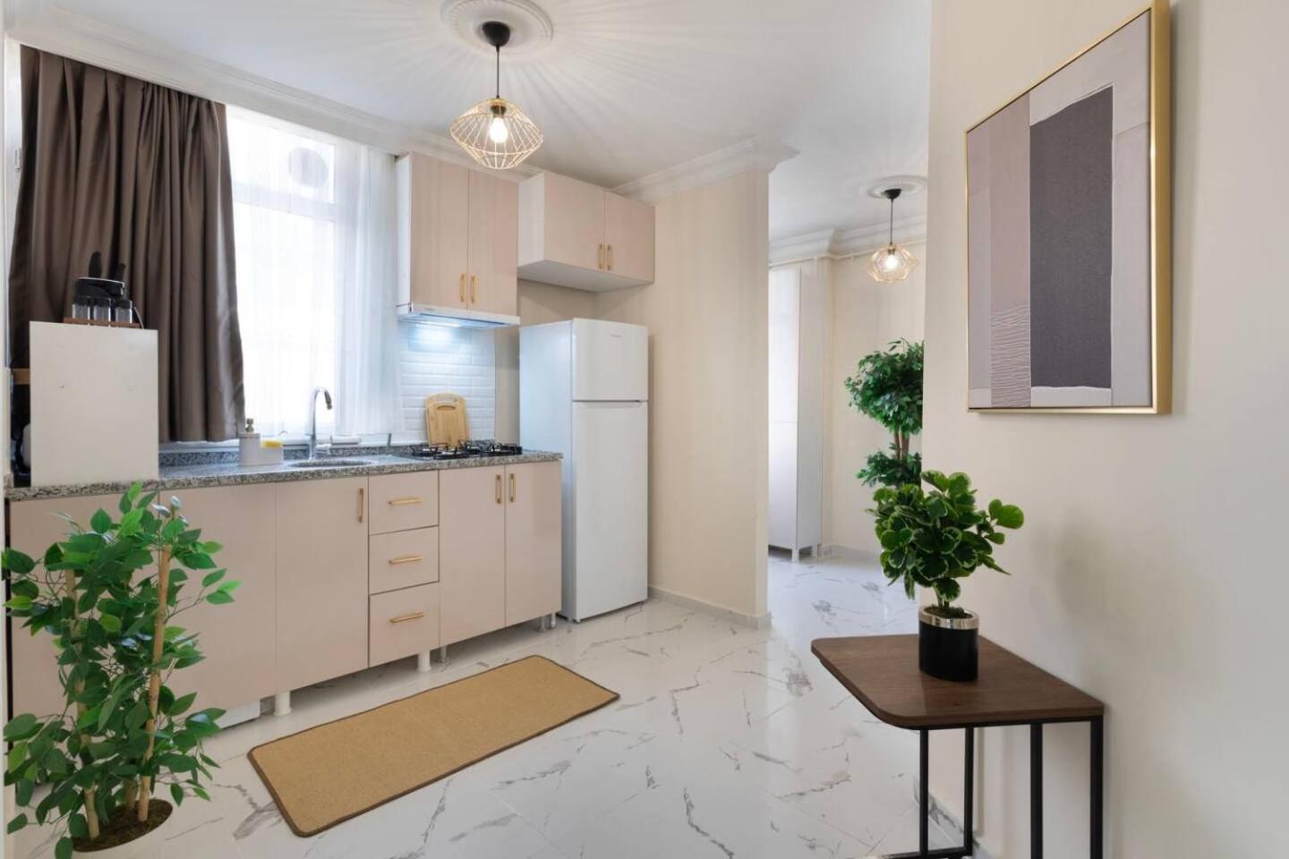 Apartment Modern Space Walking Distance From Taksim Sq *
