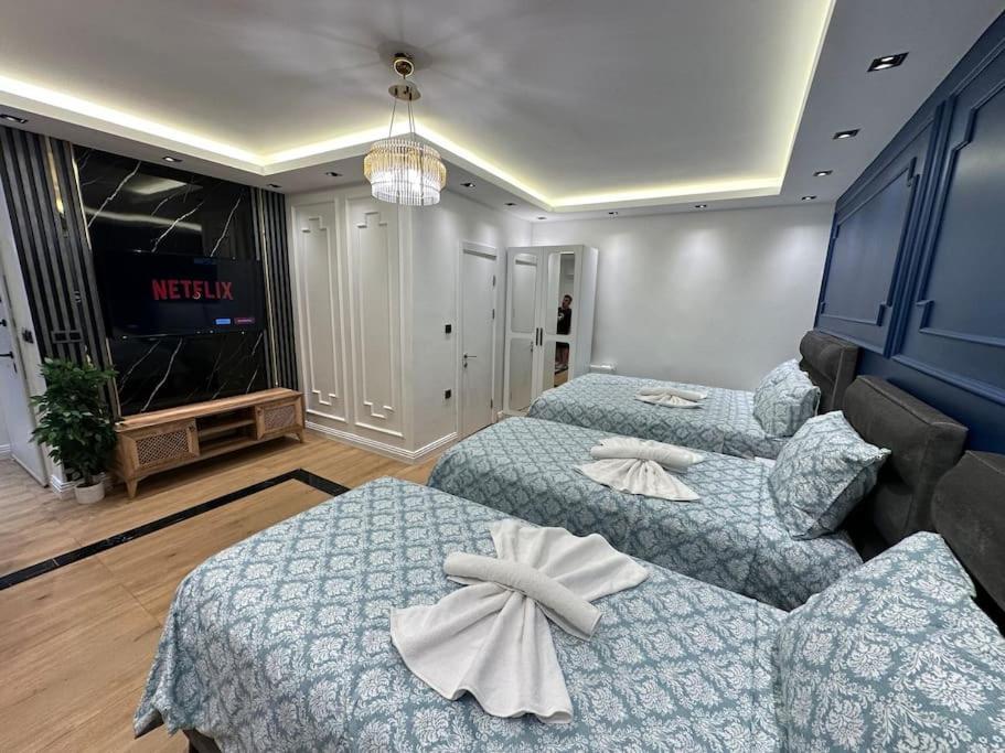 The Cozy, Below Street Floor Apartment