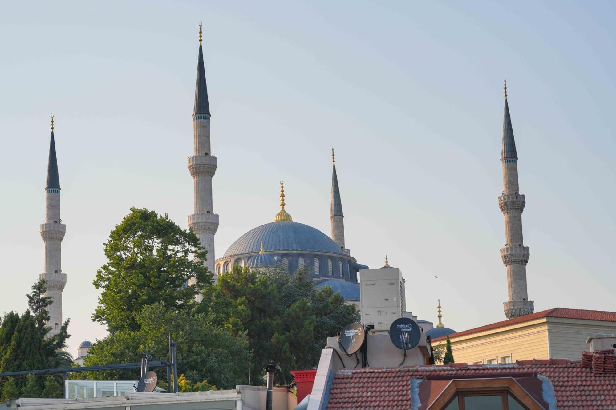 Violin Sultanahmet