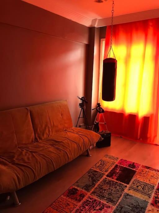 Apartment Venus Design