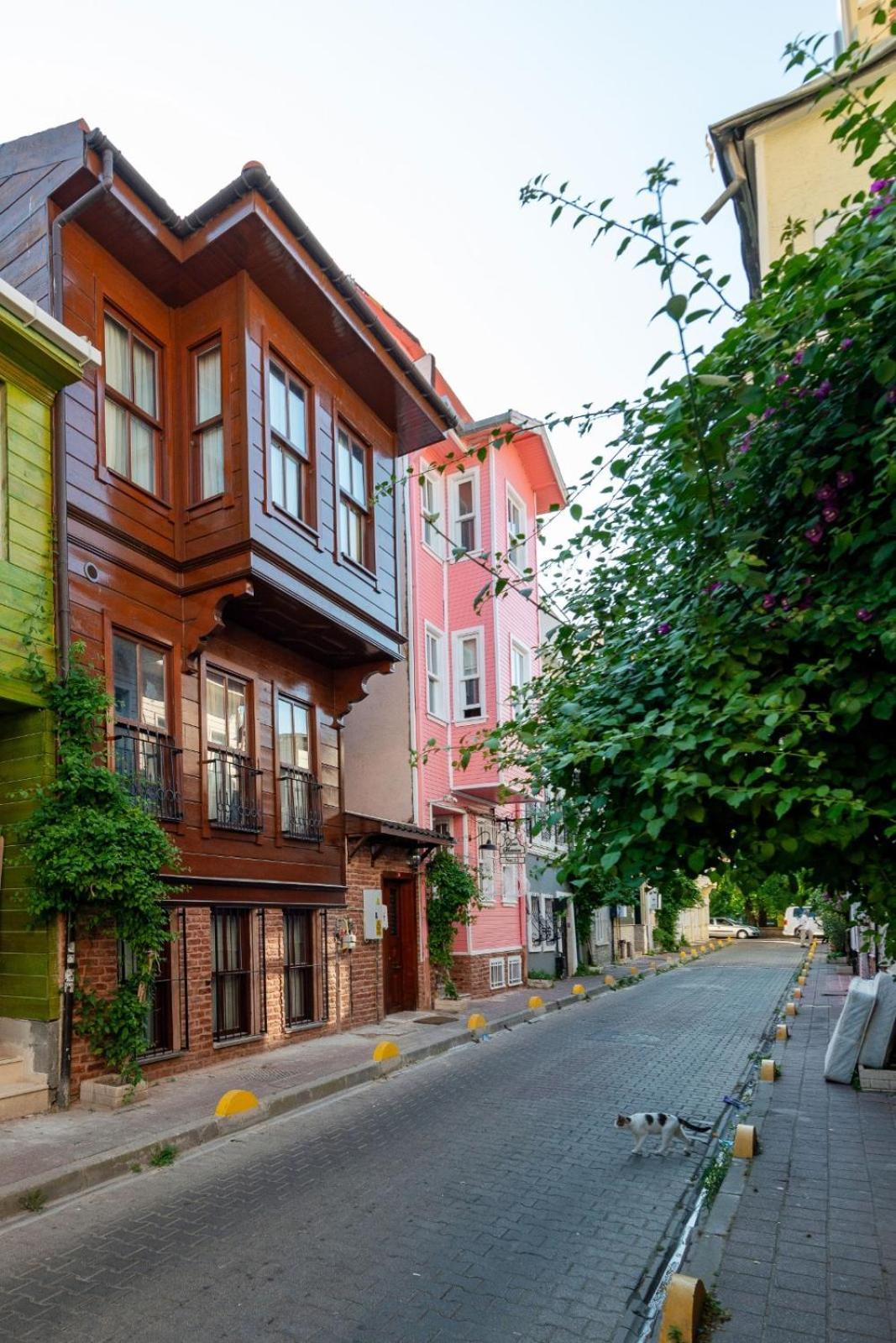 Brown Mansion Oldcity Otel *