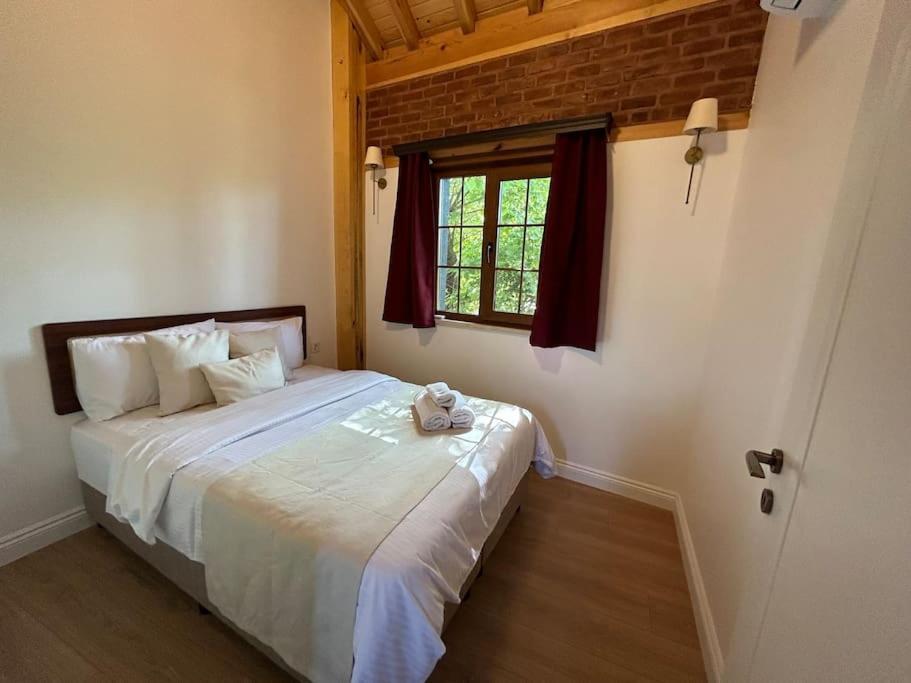 Arancia - Garden, Bbq, Sauna & Turkish Bath By The Tram In Fatih Villa Istanbul