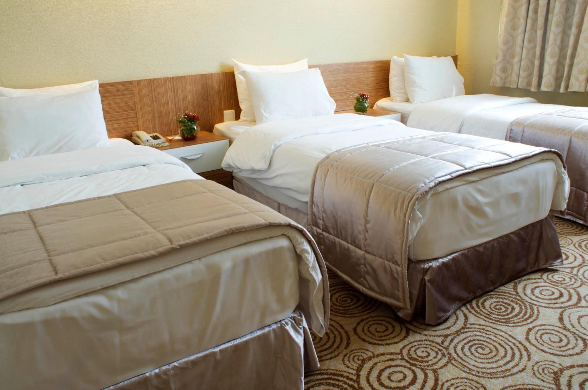 Elite Dragos Hotel 5*