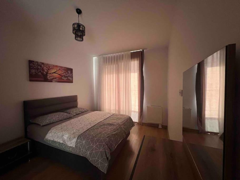 Cozy Homes - 2 & 1 Living Apartment