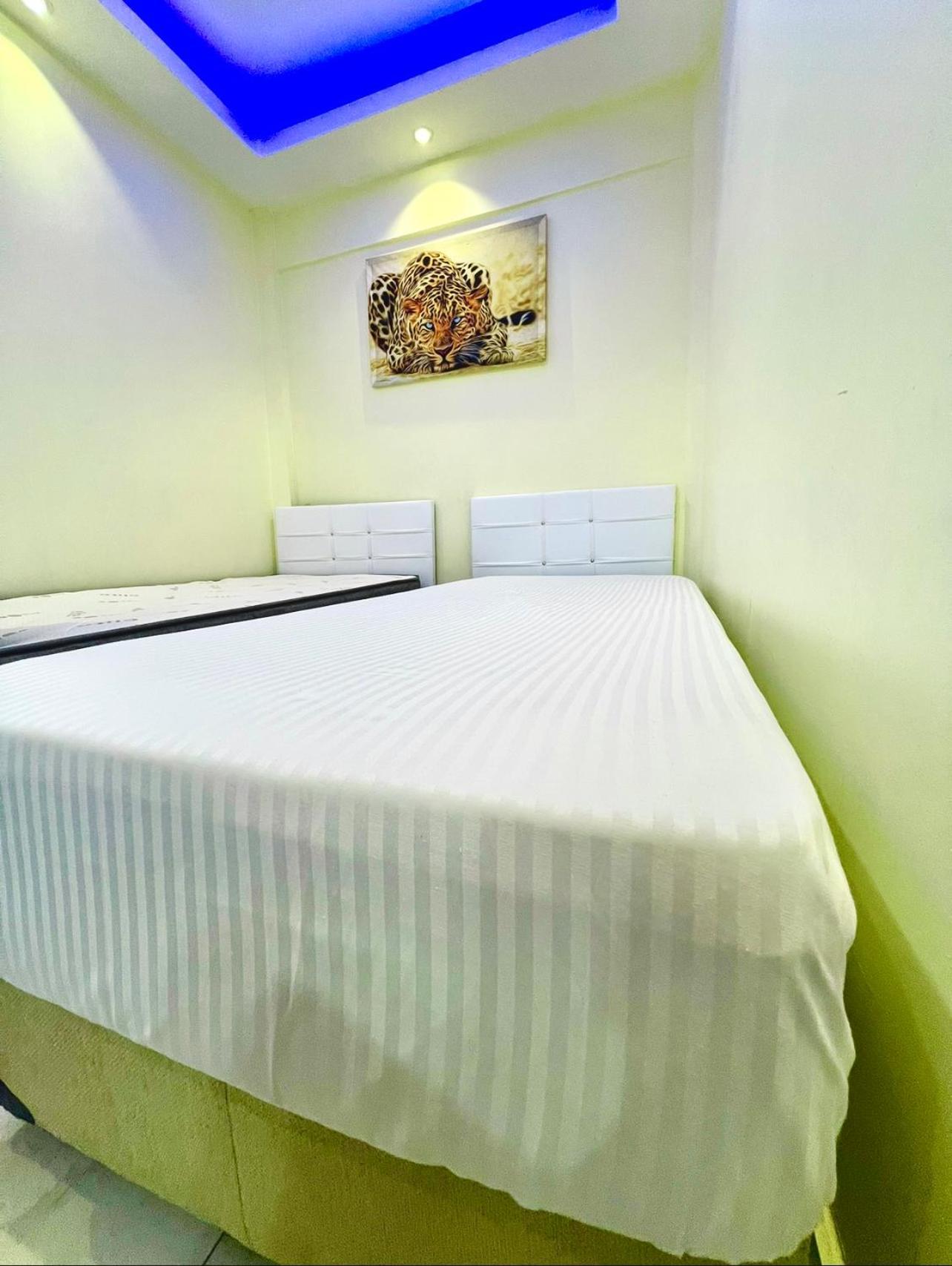 Istanbulun Kral Dairesi Asansoerlue Ve 2 Klimali Apartment *