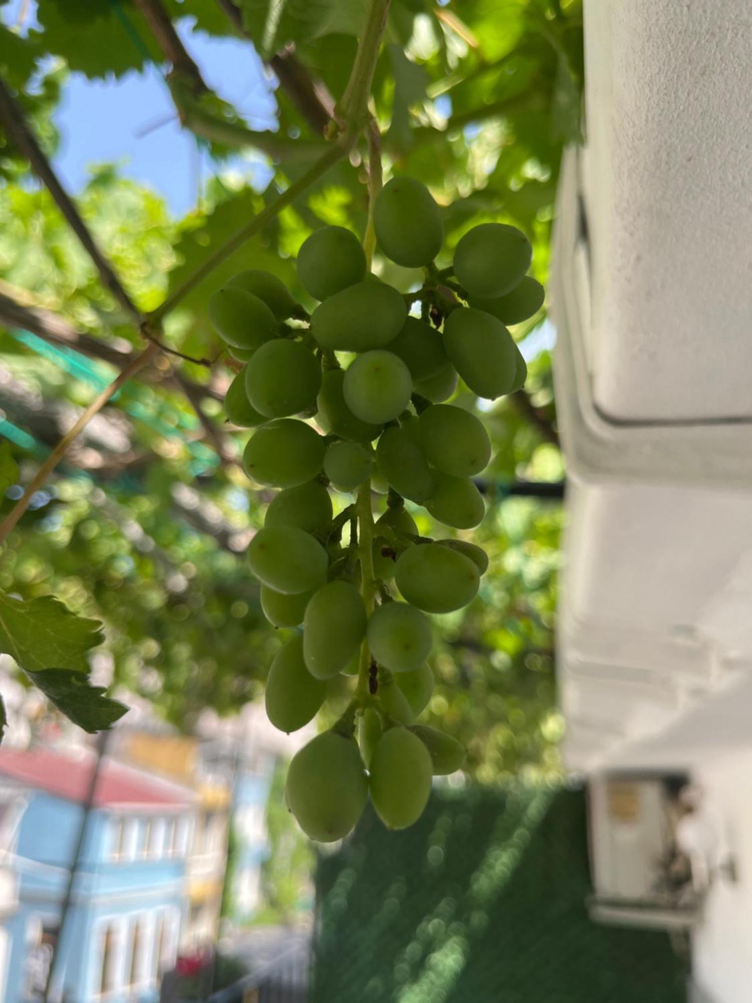 Taksim Neo Pera Aparthotel *