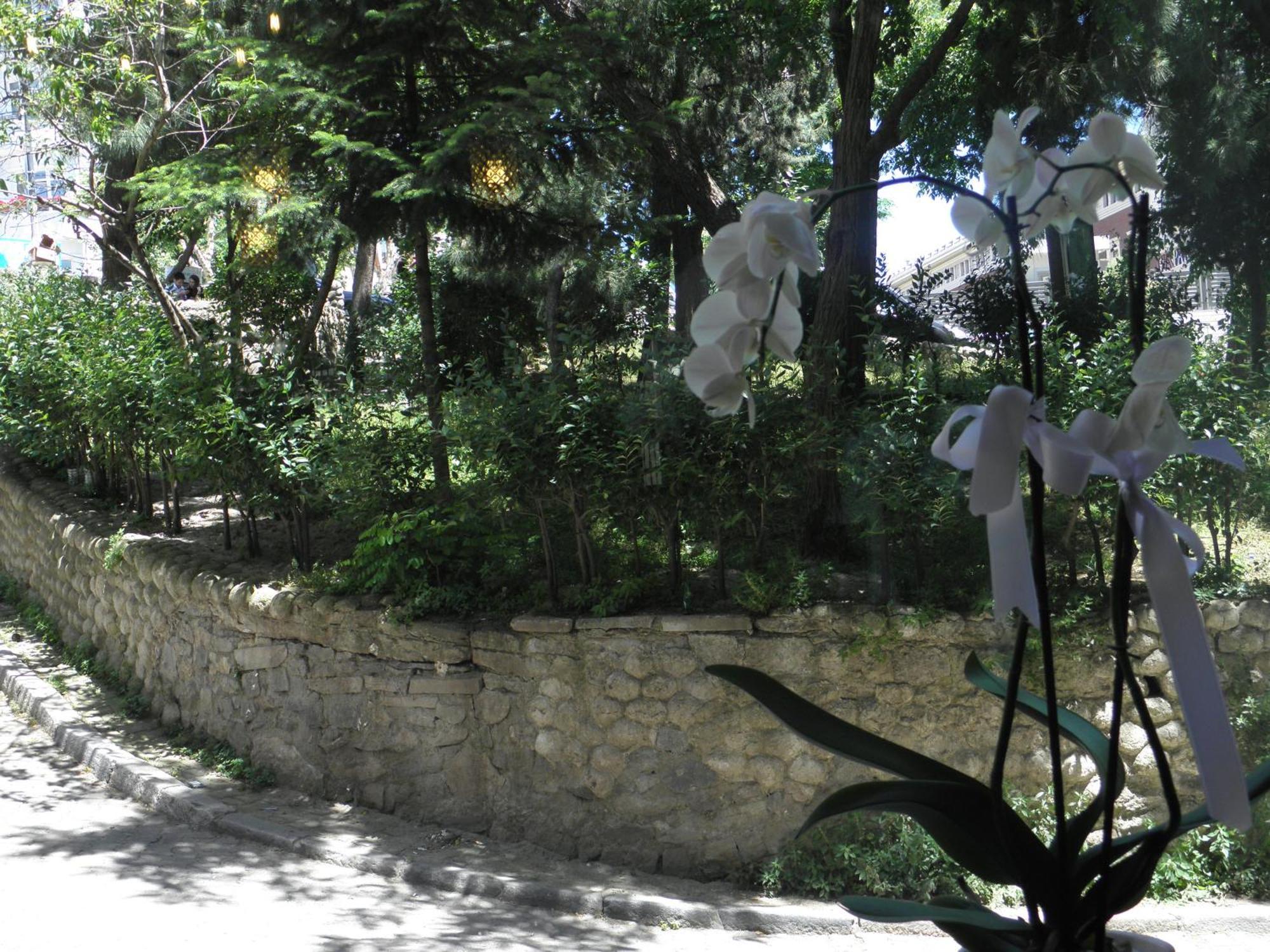 Omar Sultan Park * Istanbul
