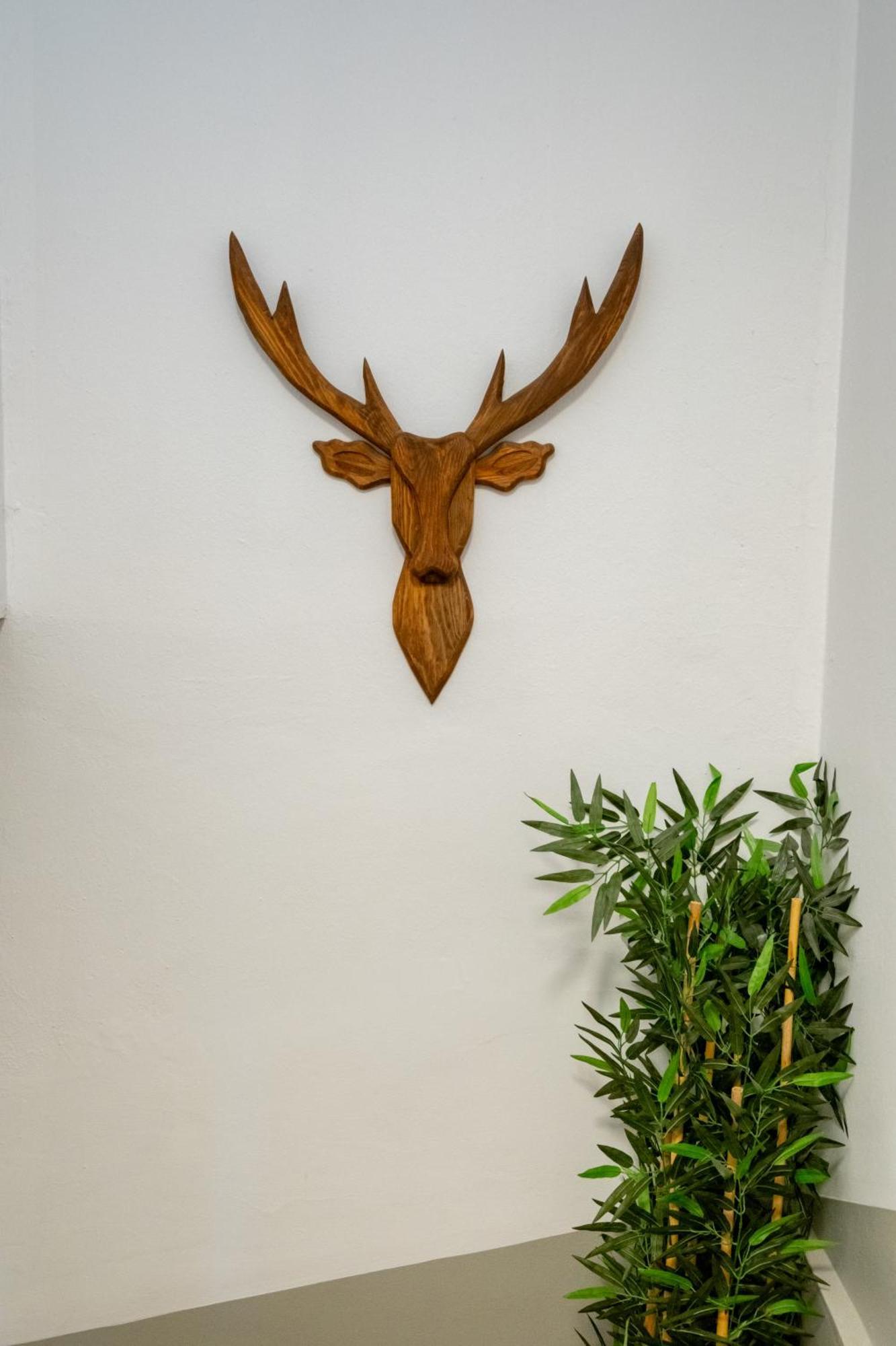 Aparthotel Pesa *