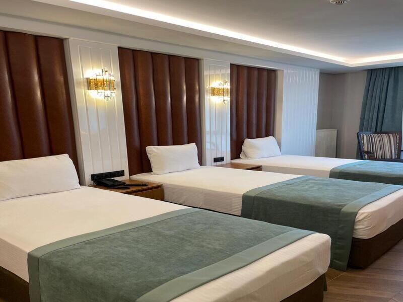 Hotel Gumus Palace