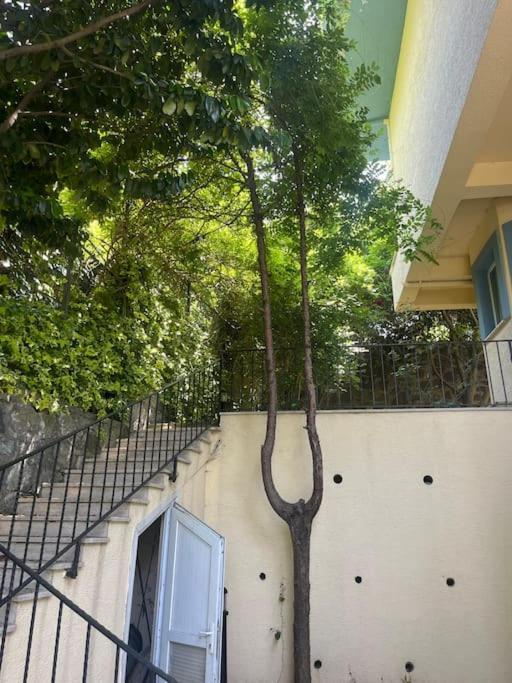 Villa Nature