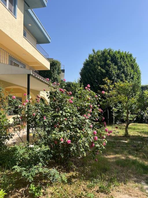 Villa Nature *