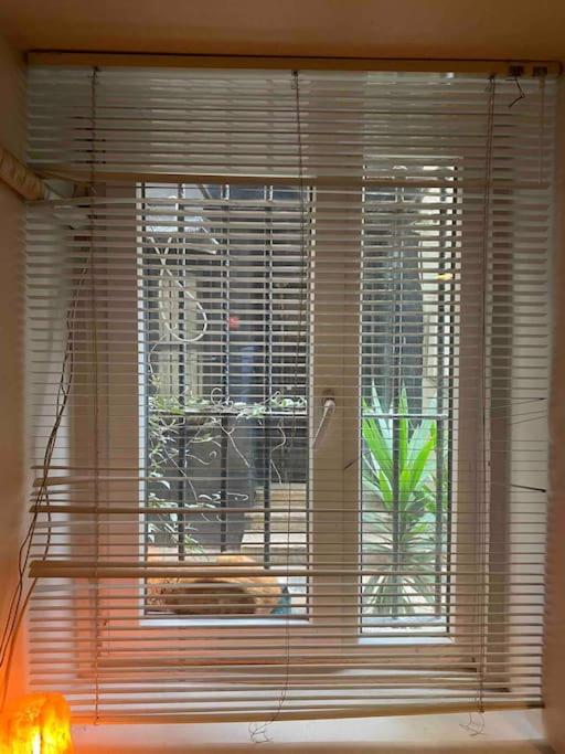 Apartment Cozy Flat Near Galata Tower And Metro Station Istanbul