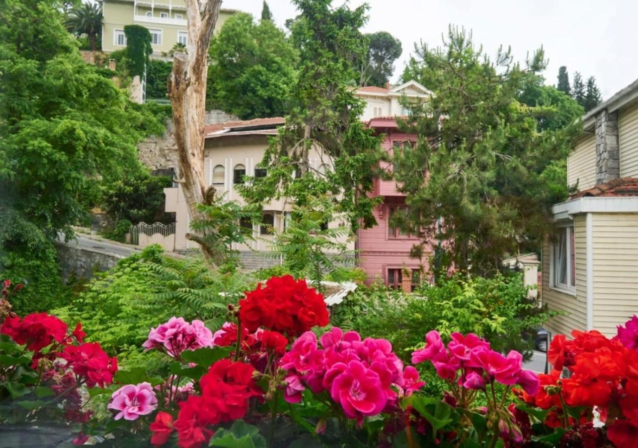 Cute Charming 1bed1bath Bebek Hidden Gem! #77 *