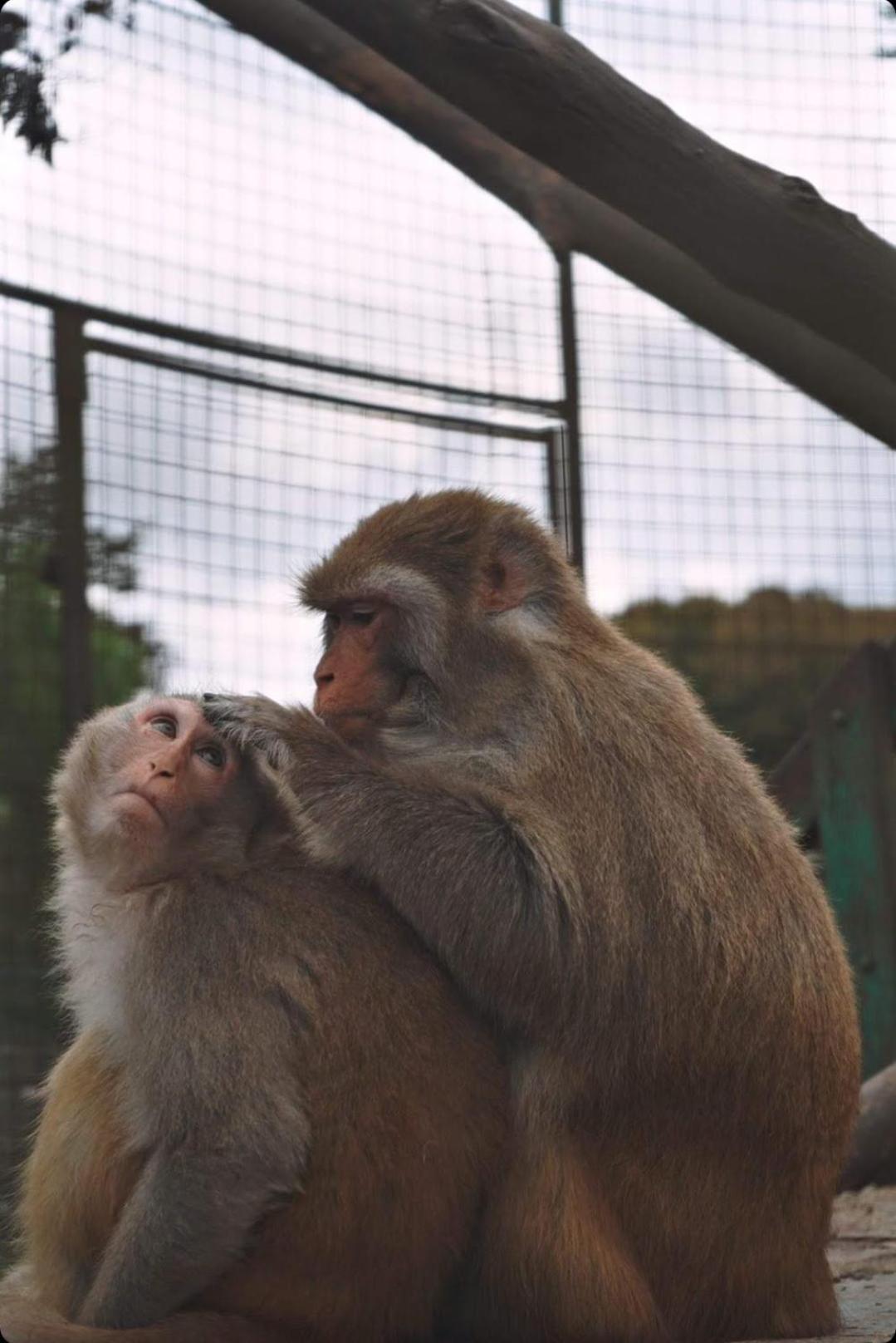 Polonezkoey Country Club & In The Wildlife Park!