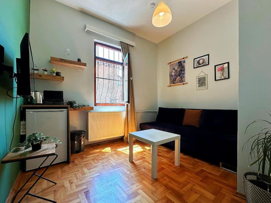 Triplex In Taksim Square With 4 Bedroom Villa