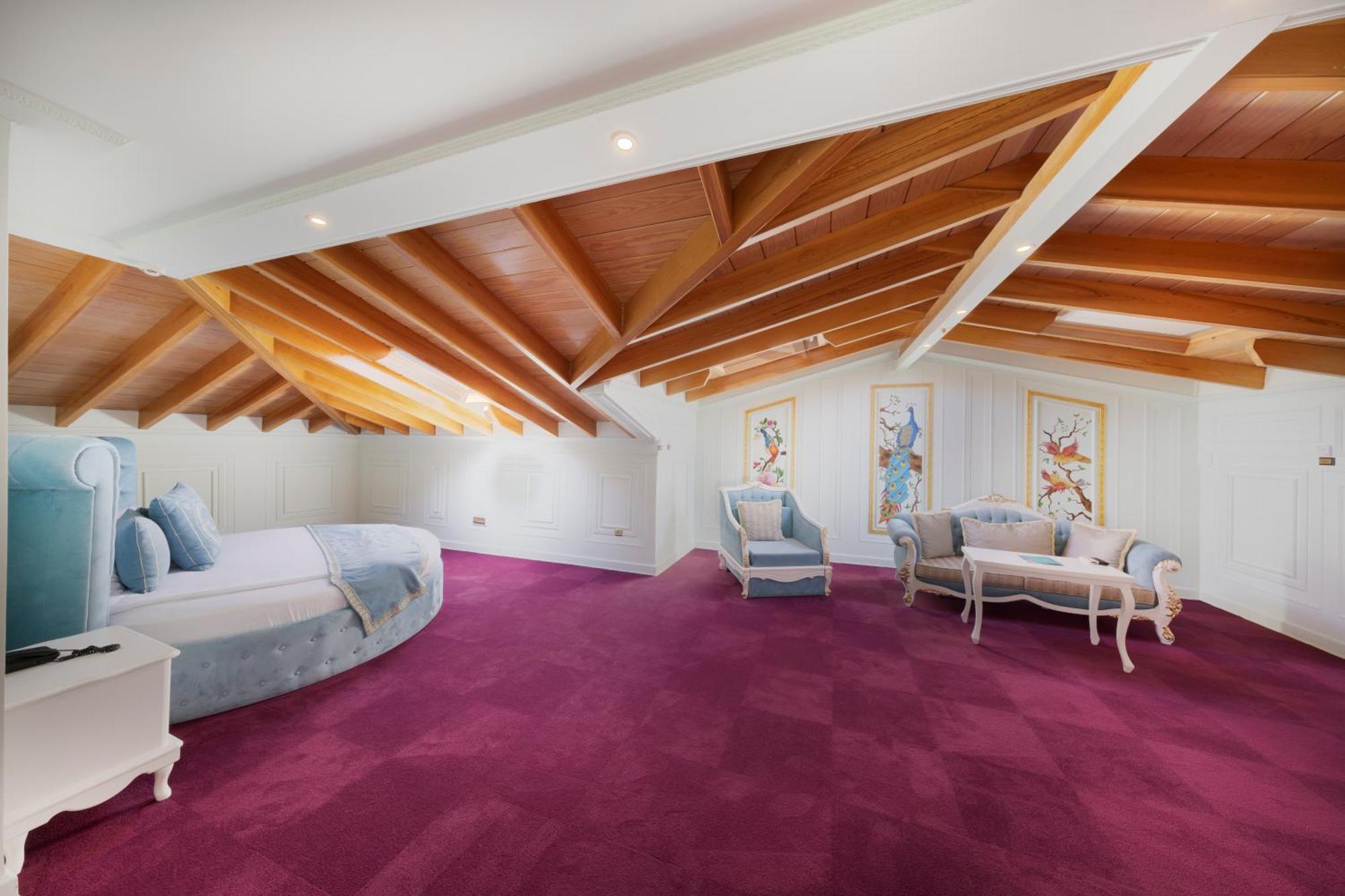 Hotel Seven Hills Palace & 4*