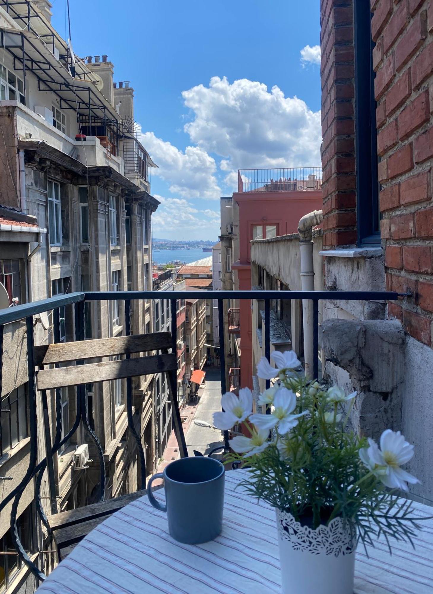 Galata Garden Design Flat