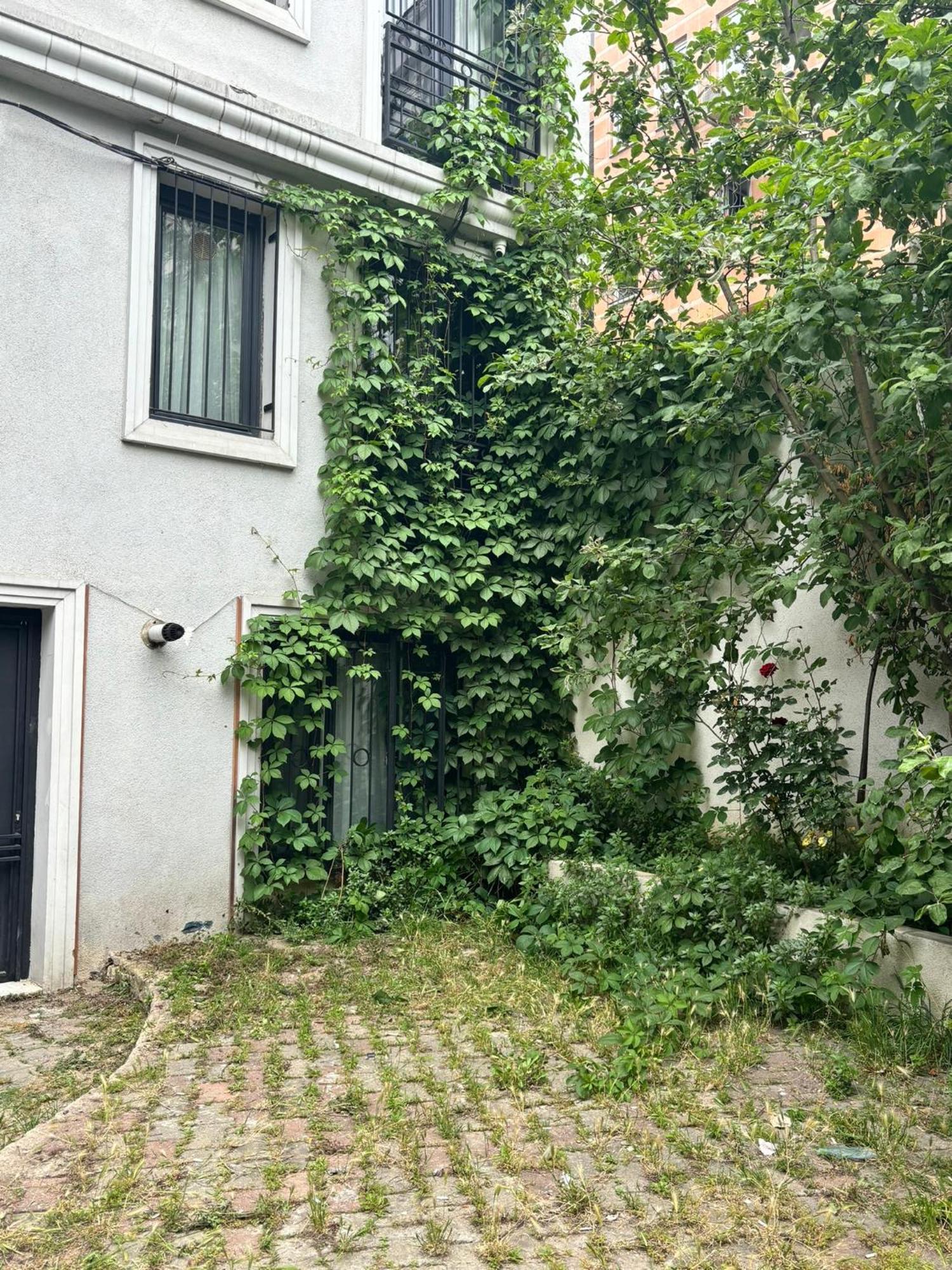Cozy Garden-level Near Taksim Apartment Istanbul