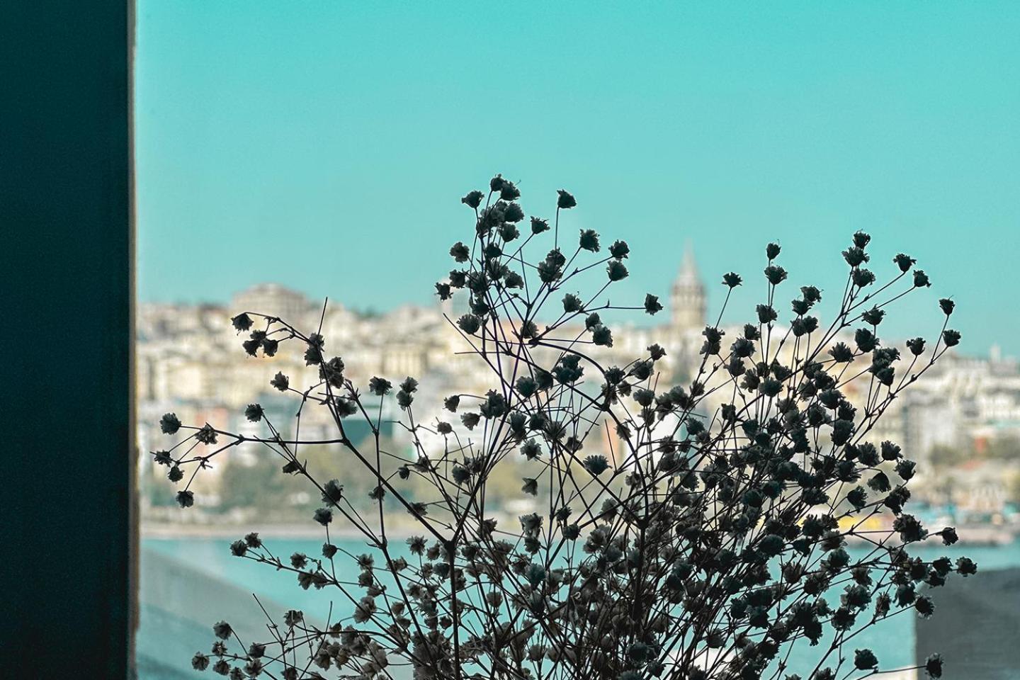 Hotel The Halic Bosphorus Istanbul