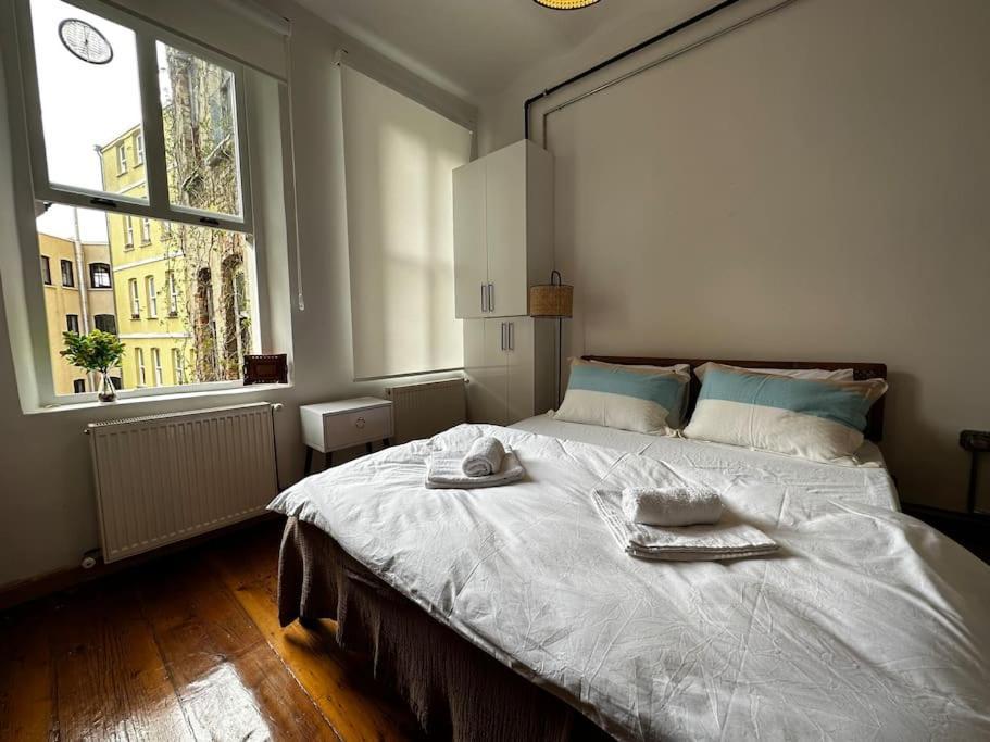 Historical Flat In Galata - Tatar Beyi Street Apartment